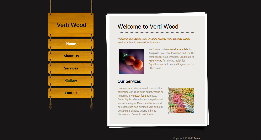 wood , legno